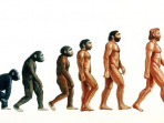 Dasar-dasar Evolusi