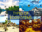Tipe-tipe Ekosistem